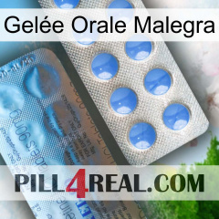 Gelée Orale Malegra 40